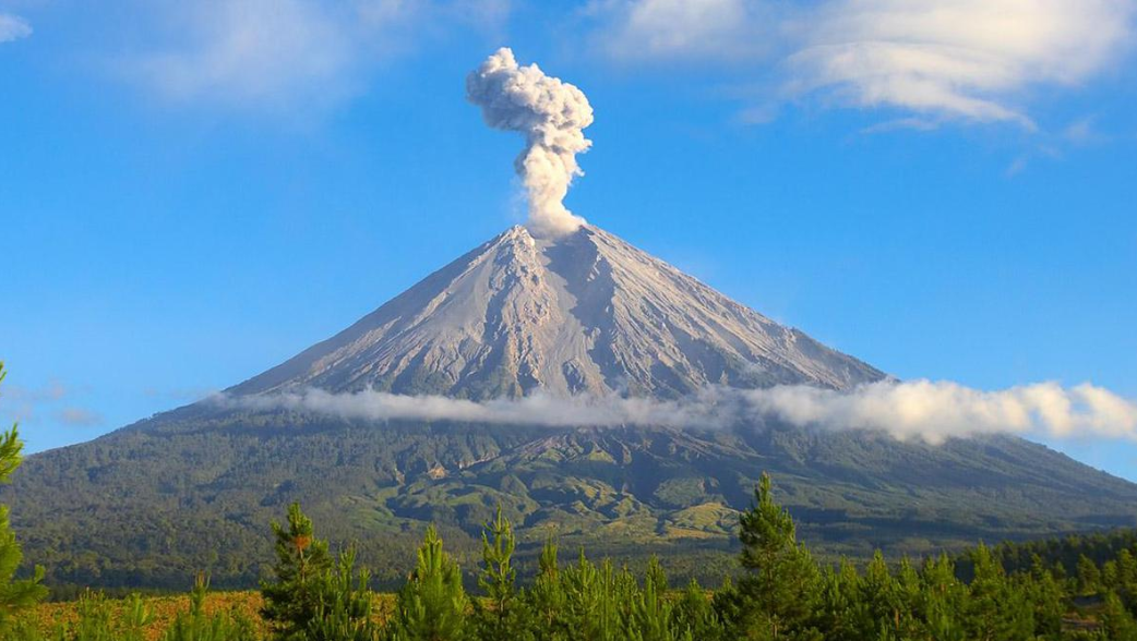 FAM68 Berita Internasional & Nasional Terbaru | Portal Informasi Terpercaya